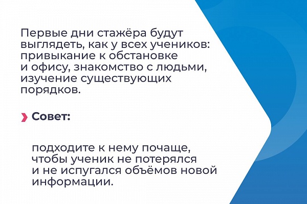 Как вырастить профессионала из новичка. 5 правил для руководителей стажёров