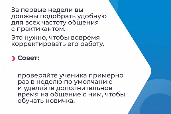 Как вырастить профессионала из новичка. 5 правил для руководителей стажёров
